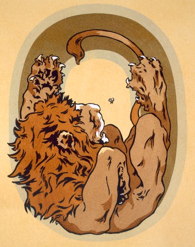حرف كبير "O" ، من "L&39;Art Croquis d&39;Animaux" ، منشور في باريس ، حوالي عام 1920 بواسطة جان سعود